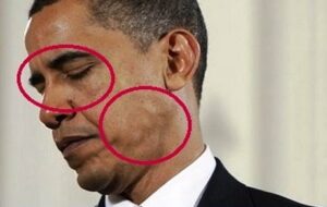 Lee más sobre el artículo ¿Pupilas en vertical de famosos y monarcas? ¿Qué son realmente?